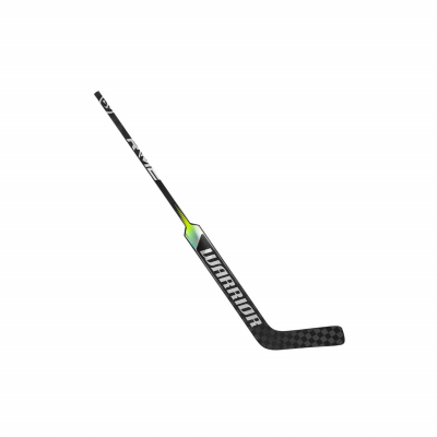 WARRIOR M2 Pro Goal Carbon